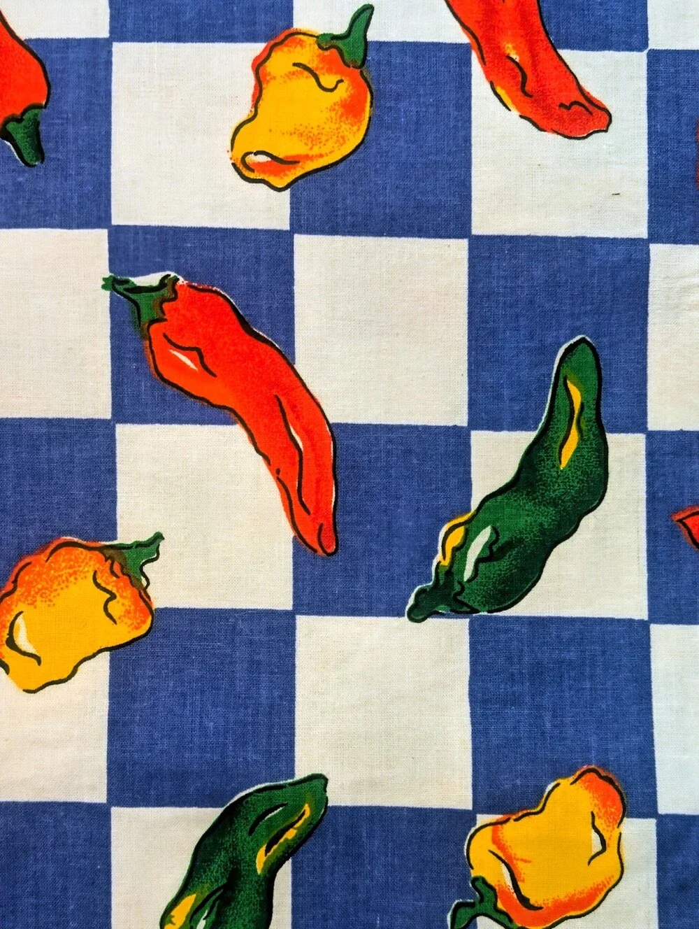PIER 1 - Chili Pepper Placemats & Hot Pad Set (4+1) - NWT/VTG